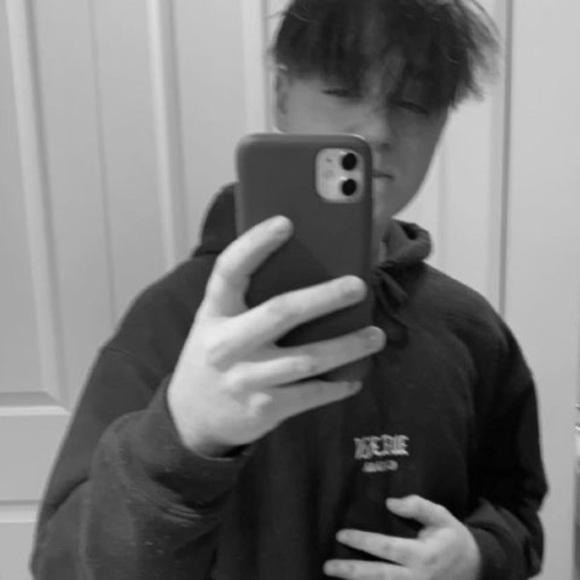 Meet your Posher, Joey - Picture 1 of 1